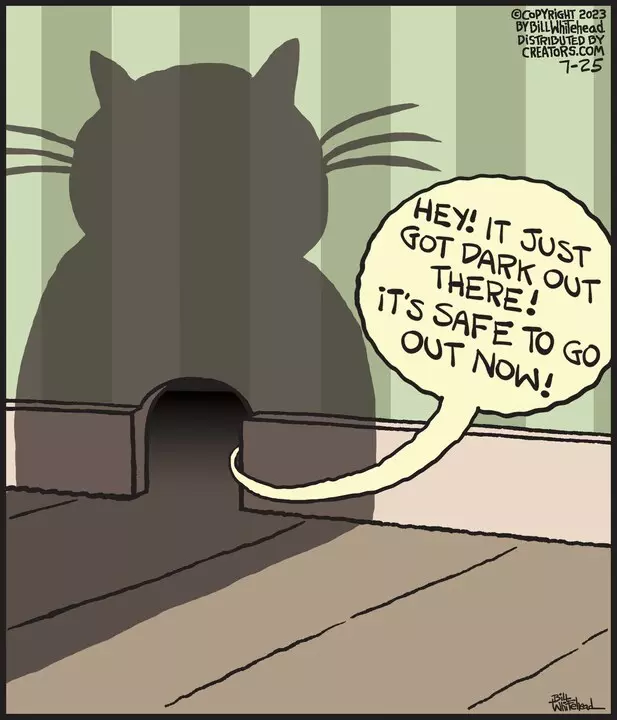 Free Range for Jul 25, 2023