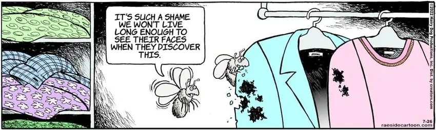 The Other Coast for Jul 26, 2022