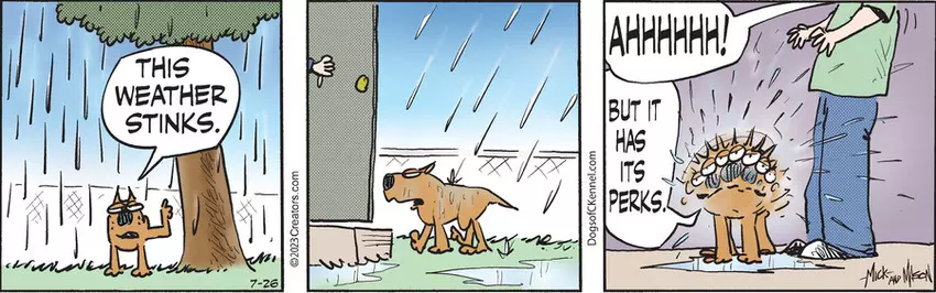 Dogs of C-Kennel for Jul 26, 2023