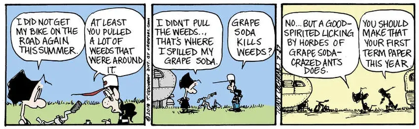 Agnes for Jul 27, 2024