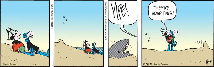 Wizard of Id for Jul 29, 2021