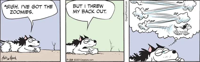 Dogs of C-Kennel for Jul 29, 2021