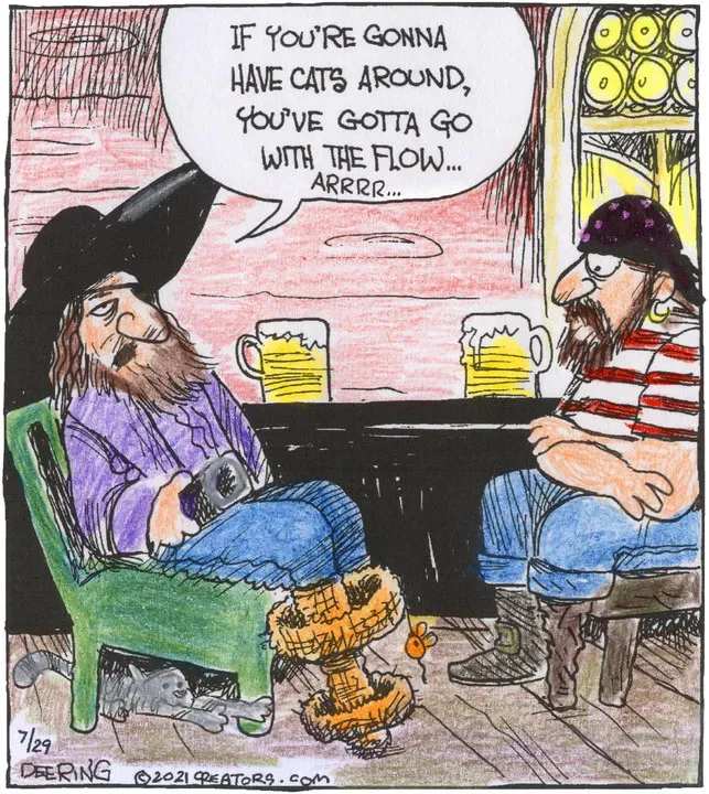 Strange Brew for Jul 29, 2021