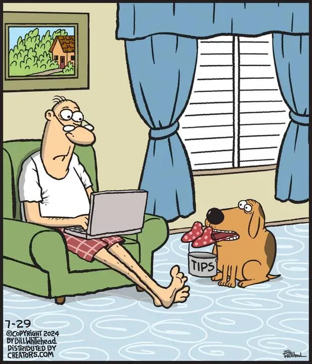 Free Range for Jul 29, 2024