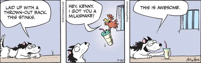 Dogs of C-Kennel for Jul 30, 2021