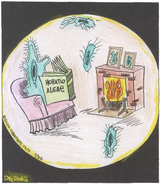 Strange Brew for Jul 30, 2022