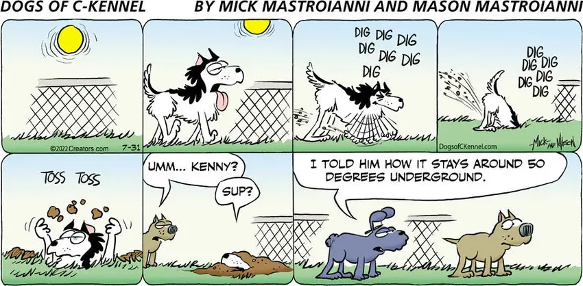 Dogs of C-Kennel for Jul 31, 2022