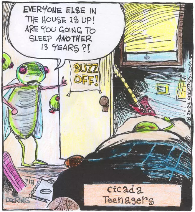 Strange Brew for Jul 31, 2023