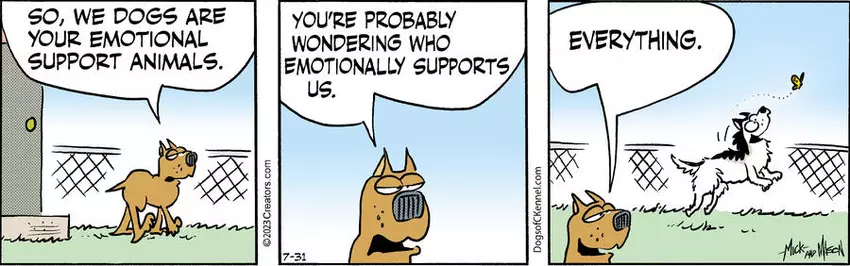 Dogs of C-Kennel for Jul 31, 2023