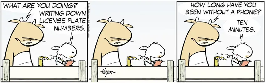 The Barn for Jul 31, 2024