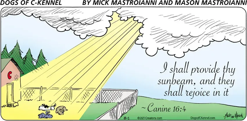 Dogs of C-Kennel for Aug 01, 2021