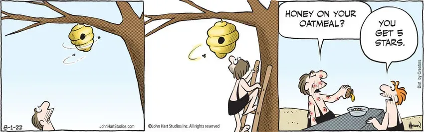 B.C. for Aug 01, 2022