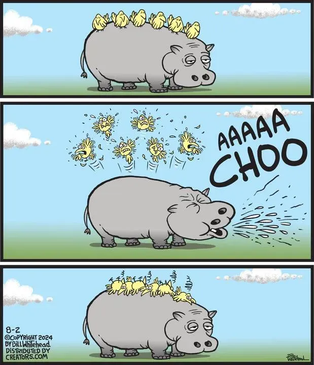 Free Range for Aug 02, 2024