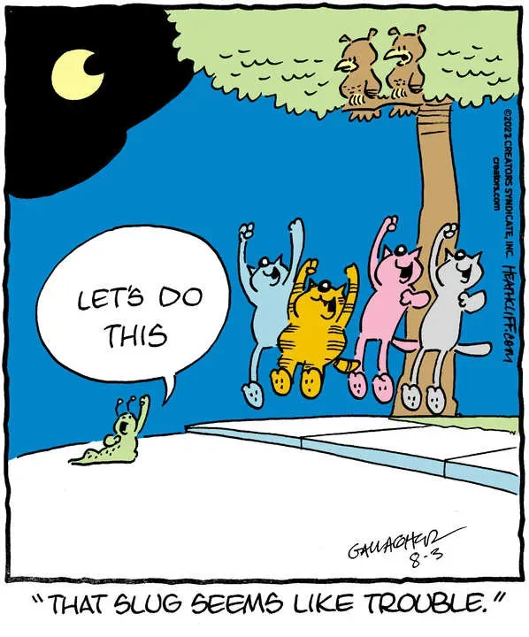 Heathcliff for Aug 03, 2022