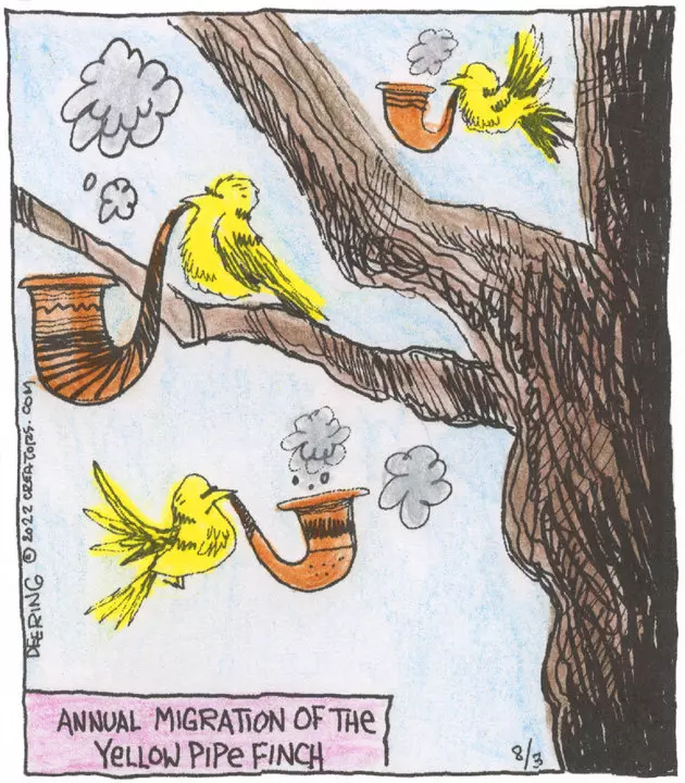 Strange Brew for Aug 03, 2022