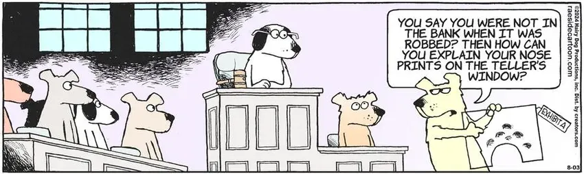 The Other Coast for Aug 03, 2024