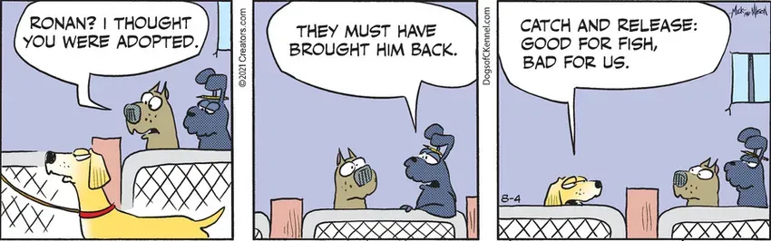 Dogs of C-Kennel for Aug 04, 2021