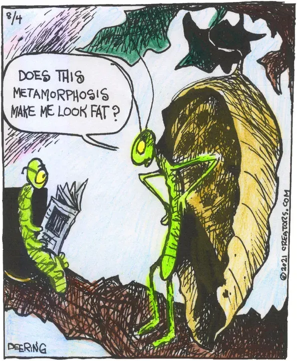 Strange Brew for Aug 04, 2021