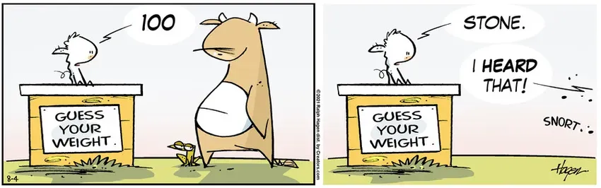 The Barn for Aug 04, 2021