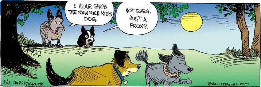 Zack Hill for Aug 04, 2021