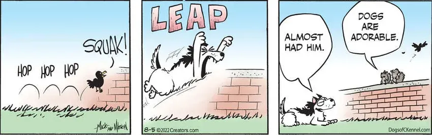 Dogs of C-Kennel for Aug 05, 2022