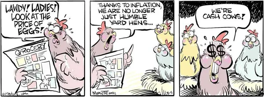 Shrimp and Grits for Aug 05, 2024