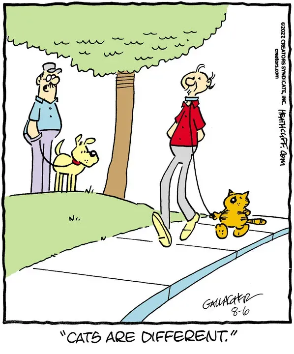 Heathcliff for Aug 06, 2022