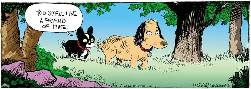 Zack Hill for Aug 06, 2022