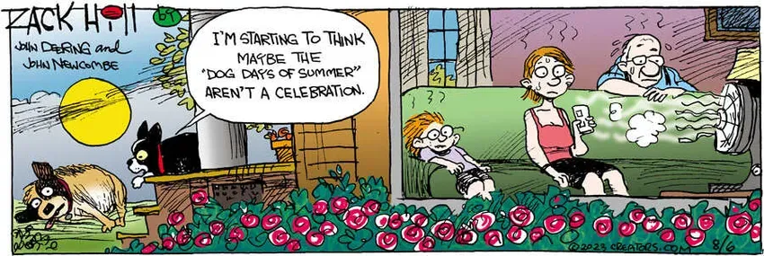 Zack Hill for Aug 06, 2023