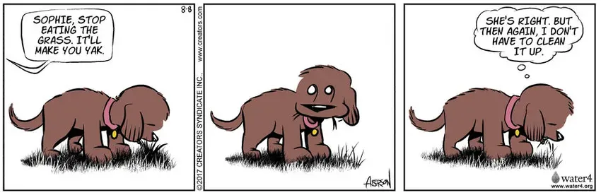 Dog Eat Doug for Aug 08, 2022