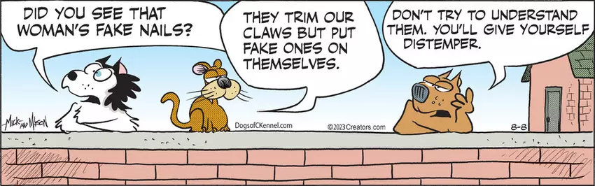 Dogs of C-Kennel for Aug 08, 2023