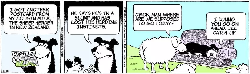 The Other Coast for Aug 08, 2023