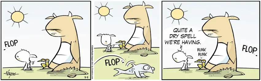 The Barn for Aug 08, 2024