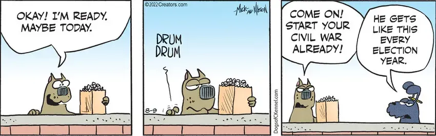 Dogs of C-Kennel for Aug 09, 2022