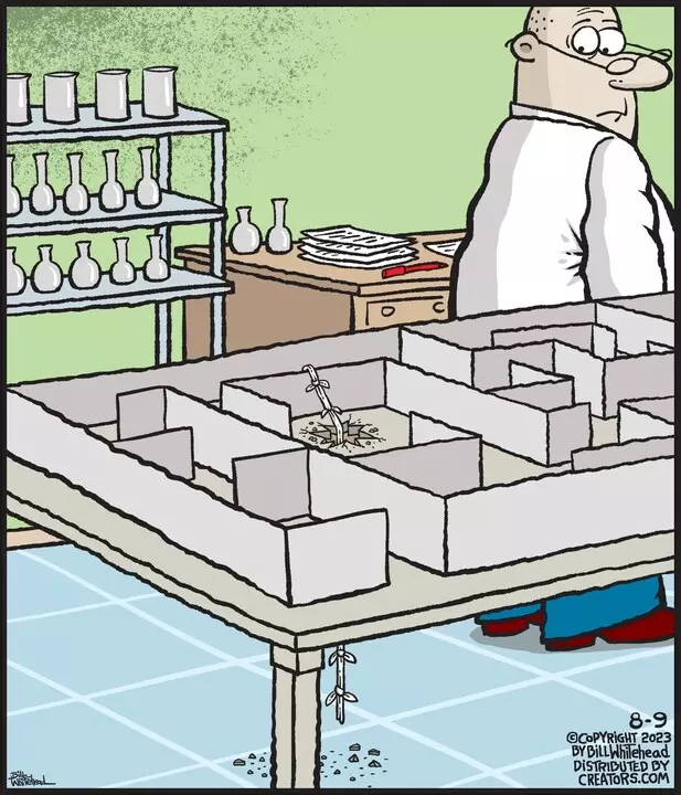 Free Range for Aug 09, 2023