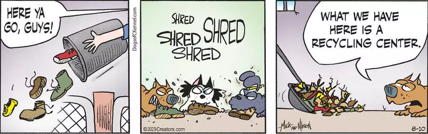 Dogs of C-Kennel for Aug 10, 2023
