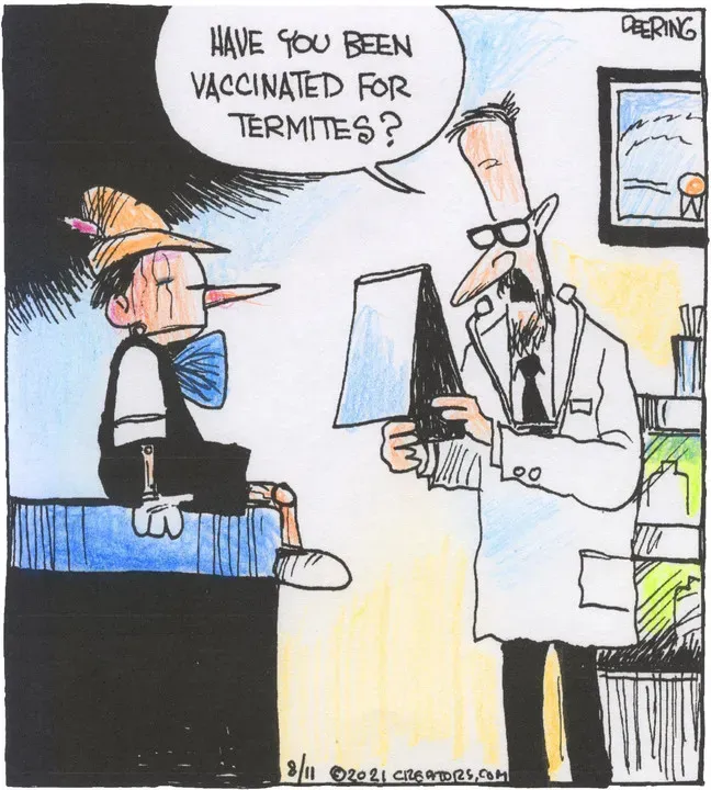 Strange Brew for Aug 11, 2021