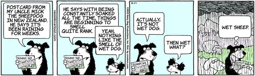 The Other Coast for Aug 11, 2022