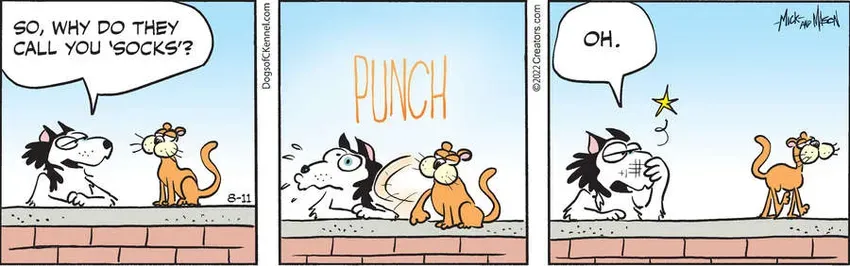 Dogs of C-Kennel for Aug 11, 2022