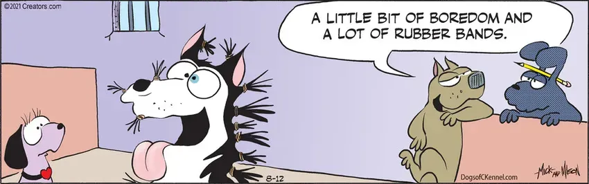 Dogs of C-Kennel for Aug 12, 2021