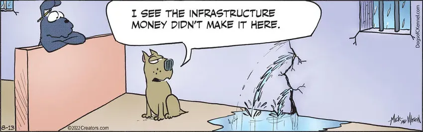 Dogs of C-Kennel for Aug 13, 2022