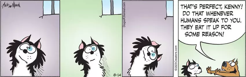 Dogs of C-Kennel for Aug 14, 2023