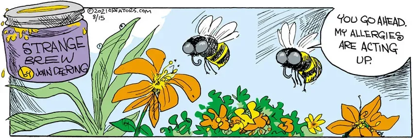 Strange Brew for Aug 15, 2021