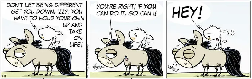 The Barn for Aug 15, 2024