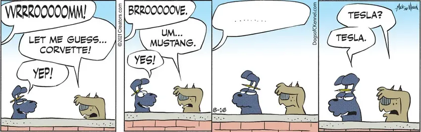 Dogs of C-Kennel for Aug 16, 2021