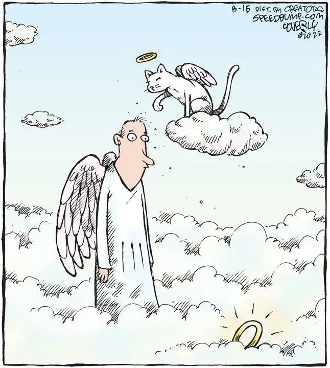 Speed Bump for Aug 16, 2022