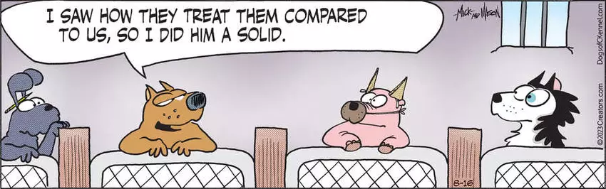 Dogs of C-Kennel for Aug 16, 2023