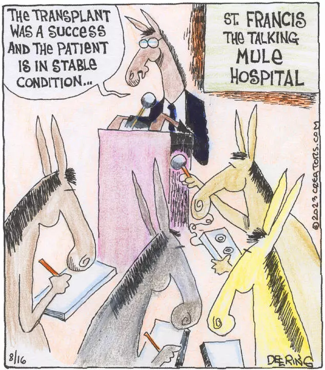 Strange Brew for Aug 16, 2023