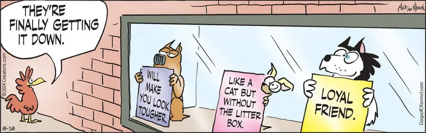 Dogs of C-Kennel for Aug 16, 2024