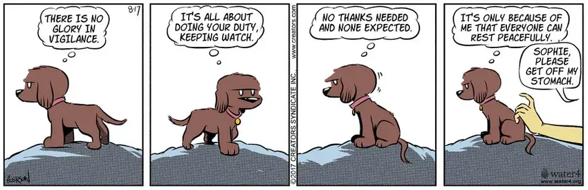 Dog Eat Doug for Aug 17, 2022